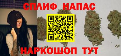 apvp Балашиха