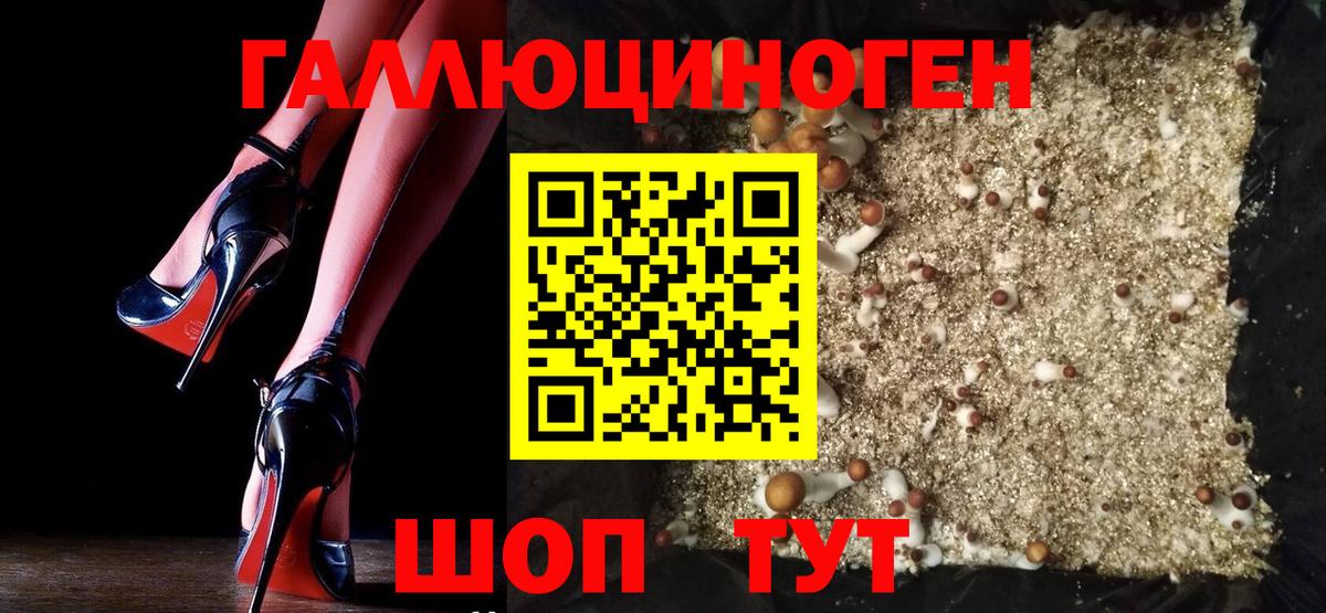 Гурьевск  Псилоцибиновые грибы Cubensis  Вход с VPN 