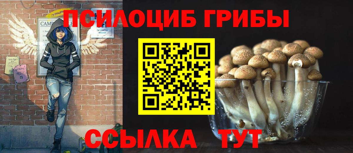 Псилоцибиновые грибы Magic Shrooms Гурьевск
